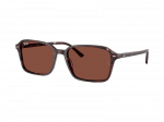 Sunglasses Ray-Ban Raimond RB2231 1416C5