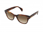 Sunglasses Ray-Ban RB0880S 954/51