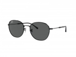 Sunglasses Ray-Ban RB3809 002/B1