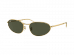 Sunglasses Ray-Ban RB3734 001/31