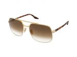 Sunglasses Ray-Ban RB3699 001/51