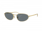Sunglasses Ray-Ban RB3734 001/3R