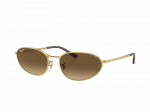 Sunglasses Ray-Ban RB3734 001/M2