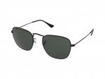 Sunglasses Ray-Ban Frank RB3857 919931