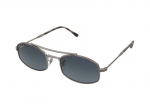 Sunglasses Ray-Ban RB3719 004/S3