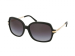 Sunglasses Michael Kors Adrianna II MK2024 316011