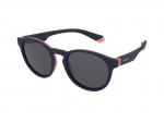 Sunglasses Polaroid PLD 8048/S BR0/M9
