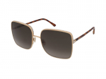 Sunglasses Jimmy Choo Aliana/S 06J/HA