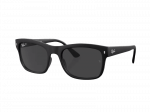 Sunglasses Ray-Ban RB4428 601S48