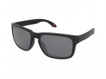 Sunglasses Oakley Holbrook OO9102 9102D6
