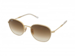 Sunglasses Ray-Ban RB3809 001/51