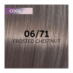 Plaukų dažai Wella Professionals Shinefinity Glaze 60ml