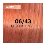 Plaukų dažai Wella Professionals Shinefinity Glaze 60ml