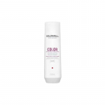Dažytų plaukų &scaron;ampūnas Goldwell Dualsenses Brilliance Color Shampoo 250ml