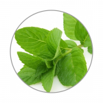 Medisana pipirmečių aroma esencija 10 ml