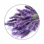 Medisana lavandų aroma esencija 10 ml
