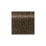 Schwarzkopf Igora Royal Muted Desert Color Cream plaukų dažai 60 ml-7-42