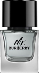 Burberry BURBERRY Mr. Burberry EDT spray 50ml moteri&scaron;ki kvepalai