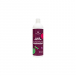 Plaukų &Scaron;ampūnas Kallos Pro-Tox SuperFruits Shampoo 500ml