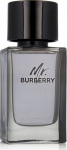 Alkotest BURBERRY Mr. Burberry EDT spray 100ml vyri&scaron;ki kvepalai