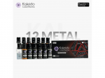 Kaleido ColorWorks RapidAir metaliniai akriliniai dažai, rinkinys 12 vnt