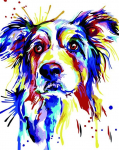 Tapybos pagal skaičius rinkinys: Human friend 40x50 cm T121