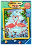 Ravensburger tapyba pagal skaičius &bdquo;Flamingų meilė&ldquo;, 24&times;30 cm