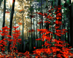 Tapybos pagal skaičius rinkinys: A140 Morning in the autumn forest 40*50