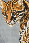 Ocelot SBU4007 - siuvinėjimo kryželiu rinkinys
