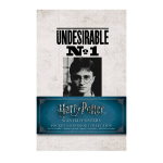 Harry Potter: Ie&scaron;komųjų plakatų ir ki&scaron;eninių knygelių kolekcija (rinkinys i&scaron; 3 dalių) Insight Editions