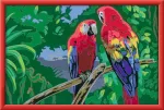 Ravensburger tapyba pagal skaičius &bdquo;Spalvingosios papūgos&ldquo;, nuo 9 m.