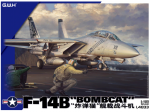 Grumman F-14B Bombcat 1/48 plastikinis lėktuvo modelis