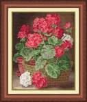 Geranium S/LTS057