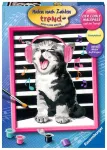 Ravensburger tapyba pagal skaičius &bdquo;Dainuojantis katinas&ldquo;, 24&times;30 cm