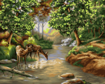 Tapybos Pagal Skaičius Rinkinys - Morning in the Forest 40x50 cm A092
