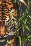 The Tiger SB2356 - siuvinėjimo kryželiu rinkinys