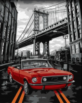 Tapybos pagal skaičius rinkinys: Brooklyn streets 40x50 cm C042