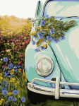 Tapybos pagal skaičius rinkinys: E011 Retro Beetle 40*50