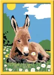 Ravensburger tapyba pagal skaičius &bdquo;Asiliukas&ldquo;, 13&times;18 cm, nuo 9 m.