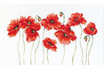 Poppies SB2223