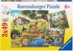 Puzzle 3 x 49 Animals - RAVENSBURGER dėlionė