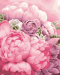 Tapybos pagal skaičius rinkinys: B119 Delicate shades 40*50