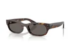 Rayban RB 2236 902/81 54-20