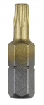 Sukimo antgalis Bosch 2609255942; T20; 25 mm