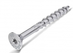 Medsraigtis Rawlplug R-PTX-50055-500; T25; 5x55 mm; 500 vnt.
