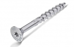Medsraigtis Rawlplug R-PTX-80160-50; T40; 8x160 mm; 50 vnt.