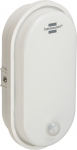&Scaron;viestuvas Brennenstuhl OL 1650 P; LED