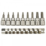 Galvučių su antgaliais rinkinys Teng Tools M3813TPX; 3/8''; 10 vnt.