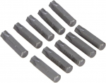 Sukimo antgalis Wera WE05072412001; 867/1; Torx; TX30x25 mm; 10 vnt.