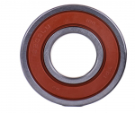 Guolis Bosch 1609B02316
